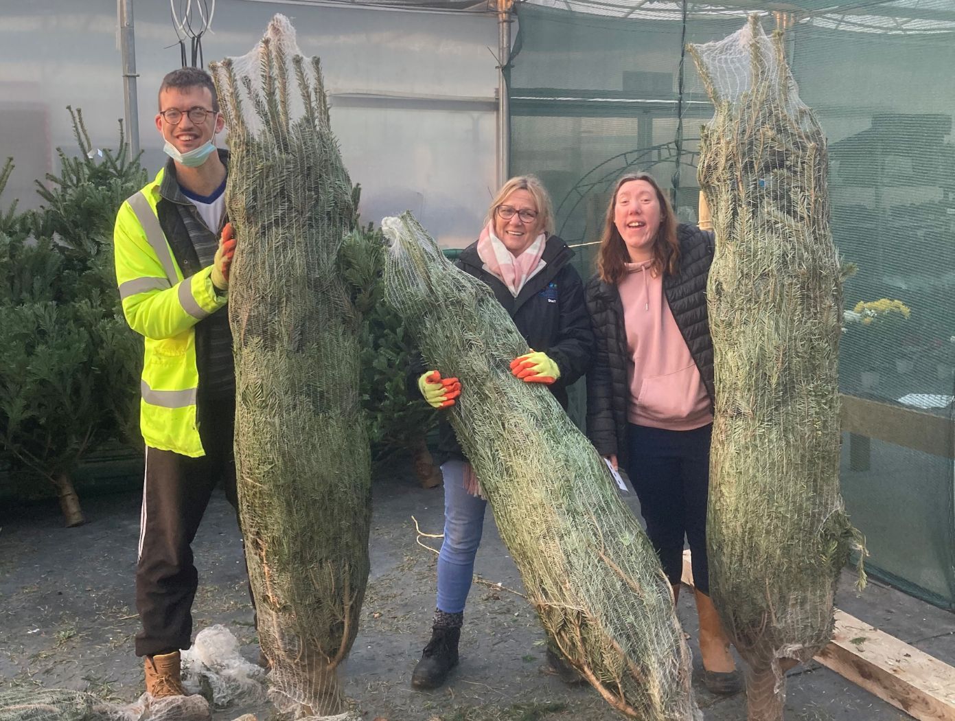 Christmas Tree Recycling - The Net Magazine